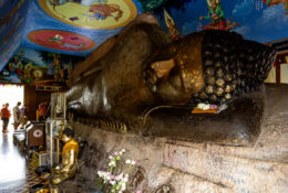 Vietnam_and_Cambodia_2025 (17/75)